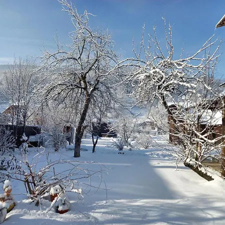 Садиба Райський Куточок Synewyr Zewnętrze zdjęcie