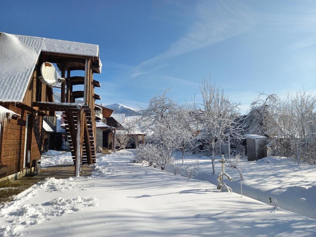 Holiday home райський куточок Synevyr